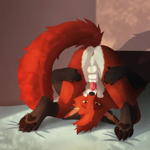 when your home alone Xb