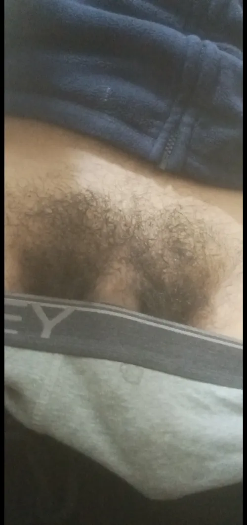 Where are my Desi Indian dogs who'd bark for this and satisfy my ego...[TG- JS_252]