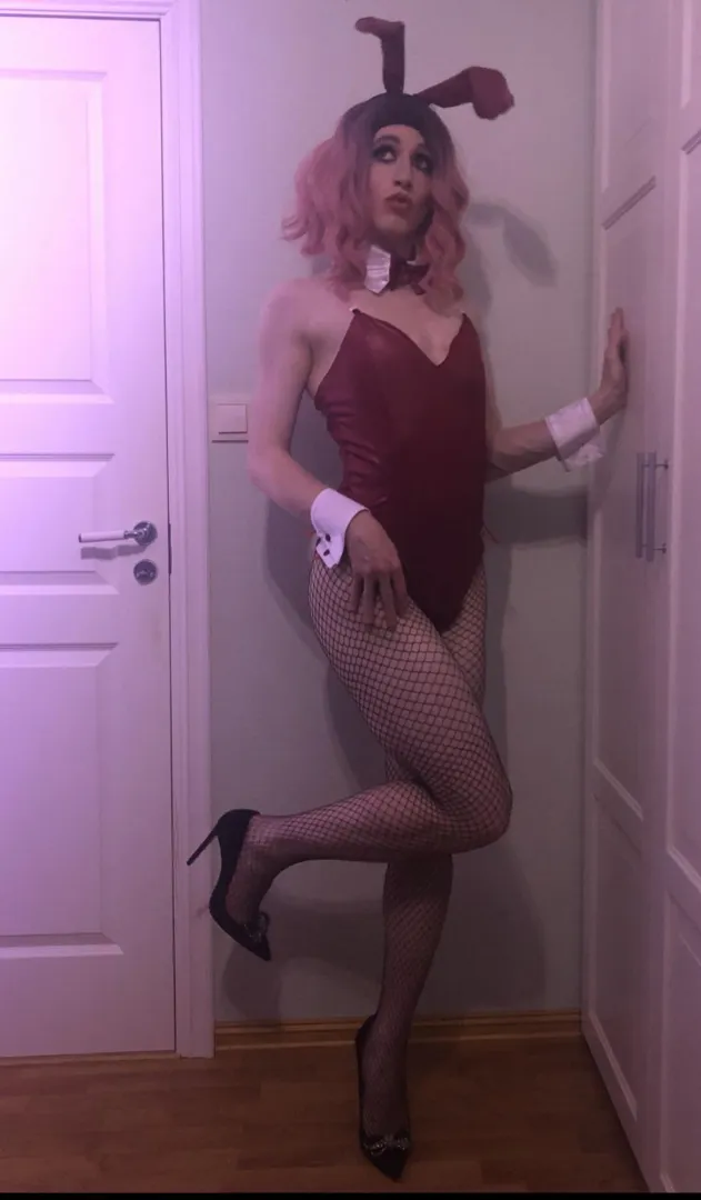 Where do i audition as a bunny girl?