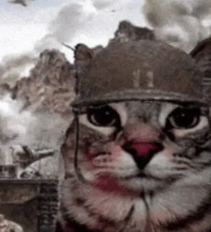 Where is the FTM x Cis F content?