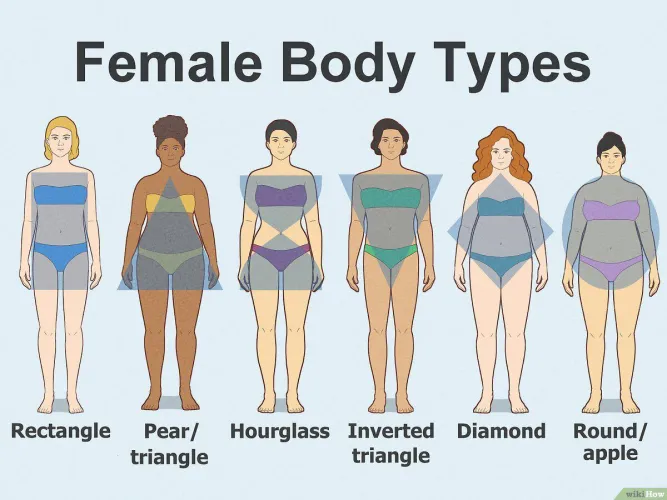 Which Female Body Type Do You Prefer?
