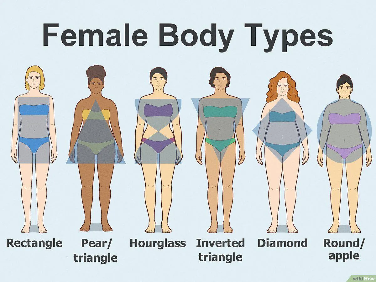 Which Female Body Type Do You Prefer?