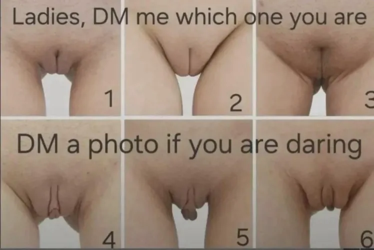 Which one are you?