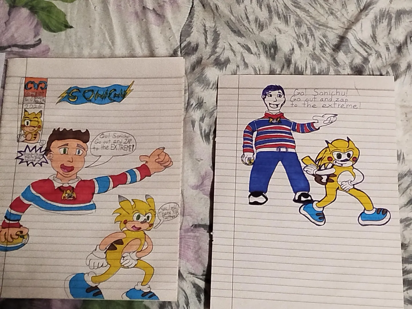 Which one is the better?