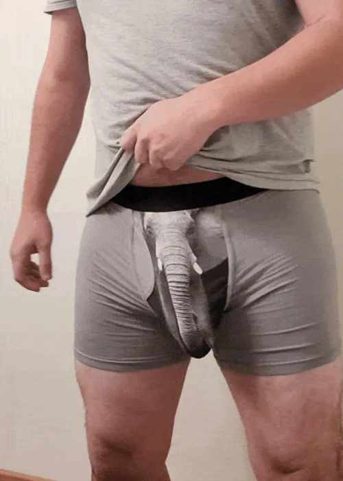 Who doesnt like elephants?