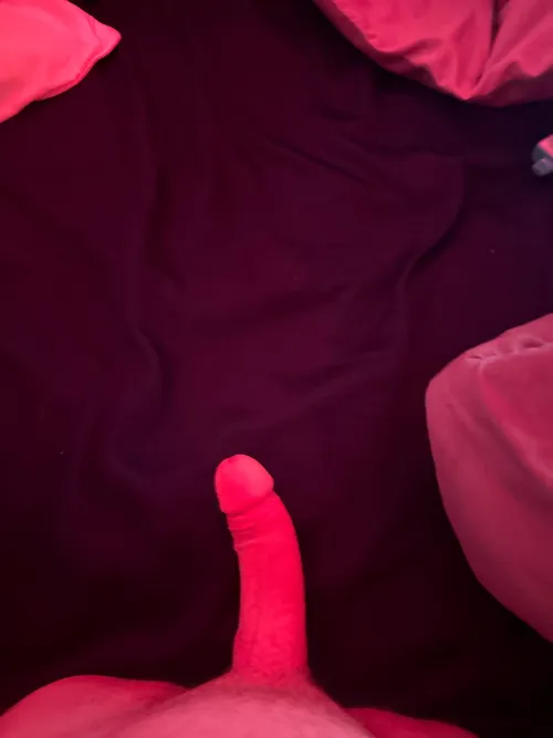 who wanna bang(straight)