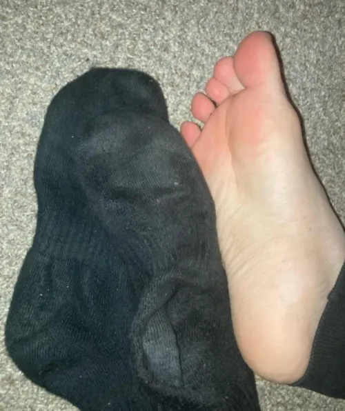 Who wants my smelly socks