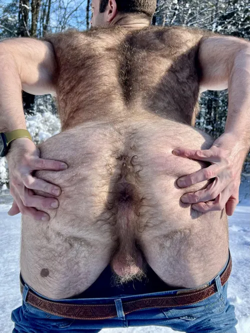 Who wants to play in the snow?