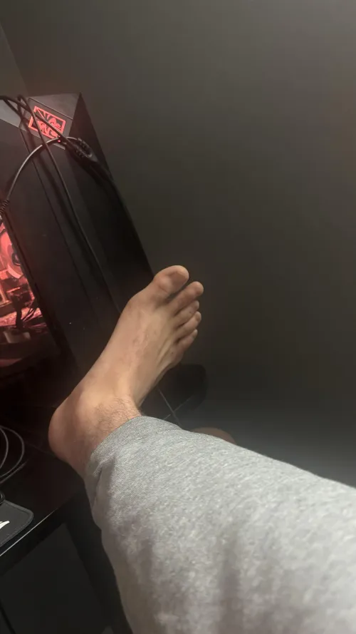 who wants to sniff them