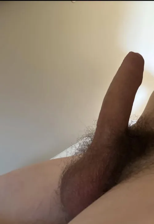 Who wants to take a ride