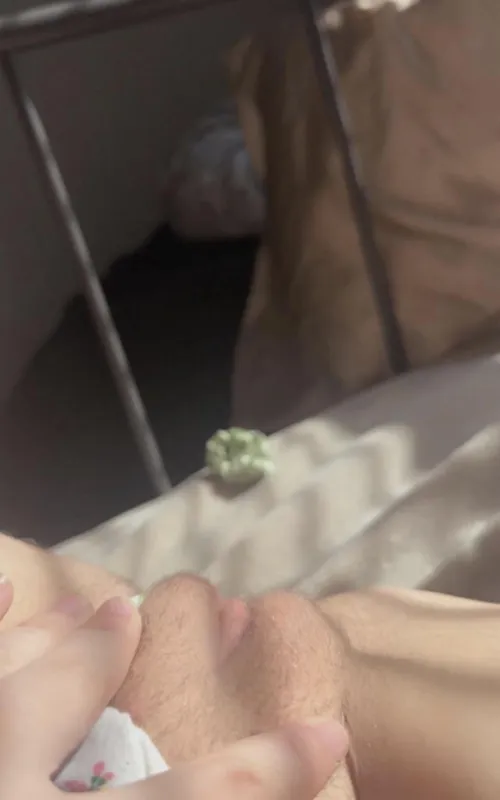 Who’s hungry, food is ready