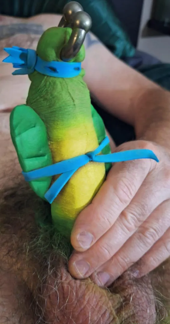 Who's your favourite ninja turtle?