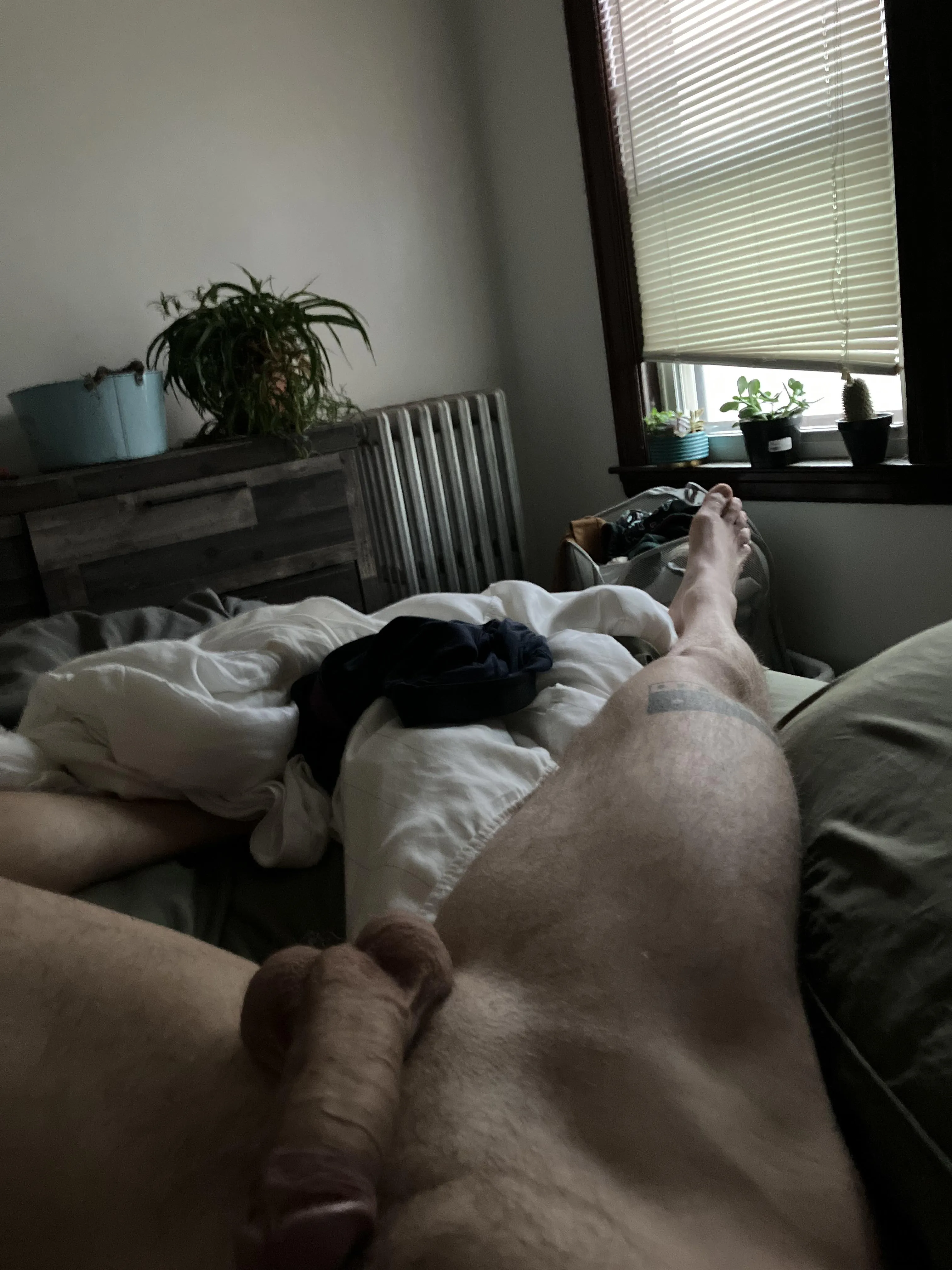 Winter morning thighs…