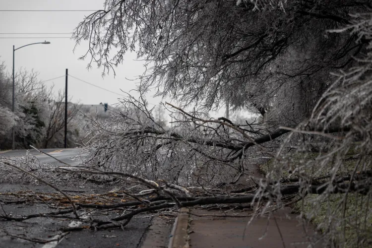 Winter Storm South East US - Expecting Wide Spread Power Outages. Please Be Patient!  Most of our MOD's live in these areas!