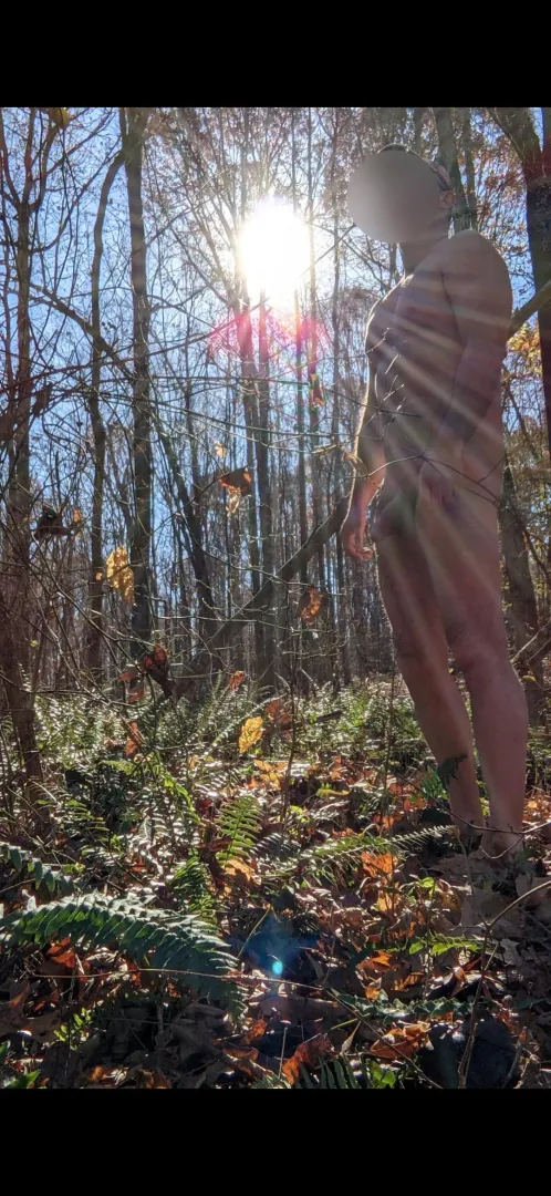 Winter time sunshine