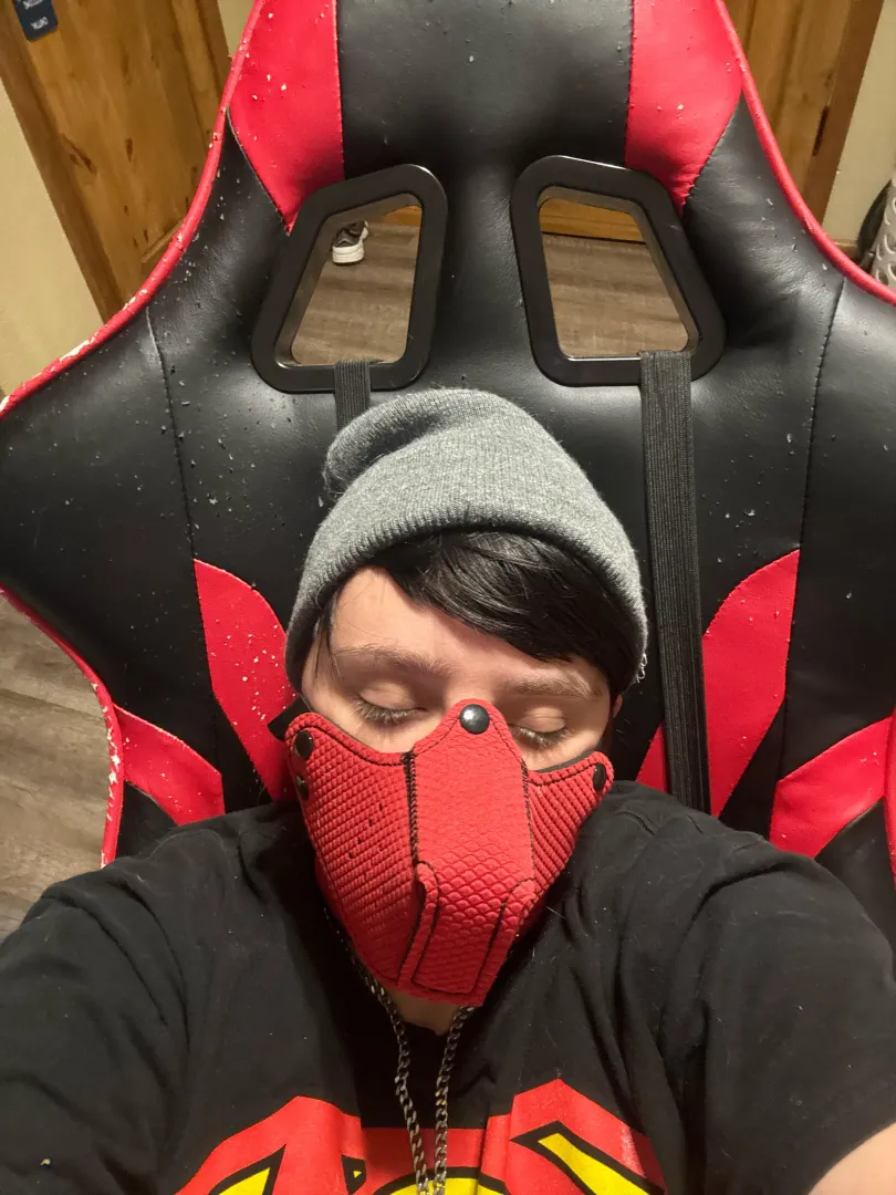 Wolf pup wanting to be used and sleepy