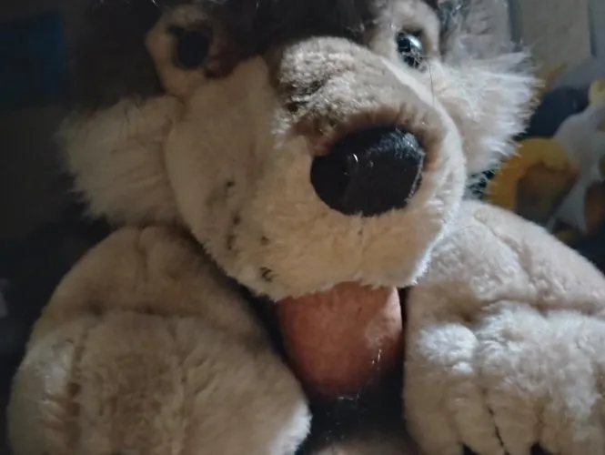 Wolf sucking my cock ~