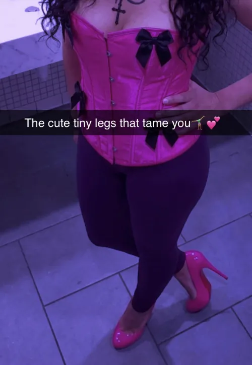 Worship my thighs with your wallet ✨