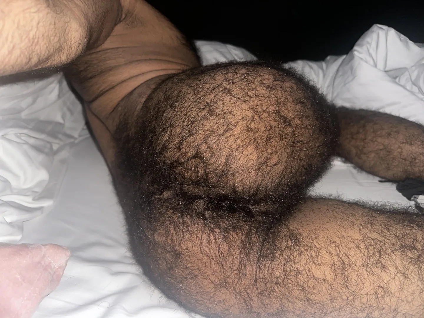 would you breed me ?