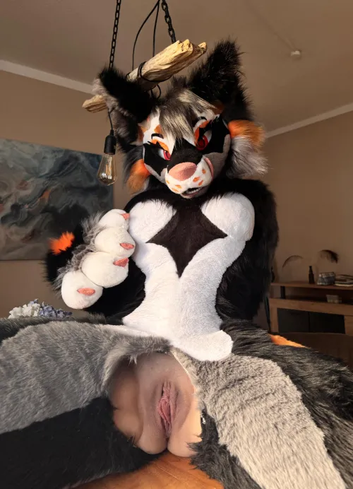 Would you eat this dinner?~ [Foxgirl_Nova][F]