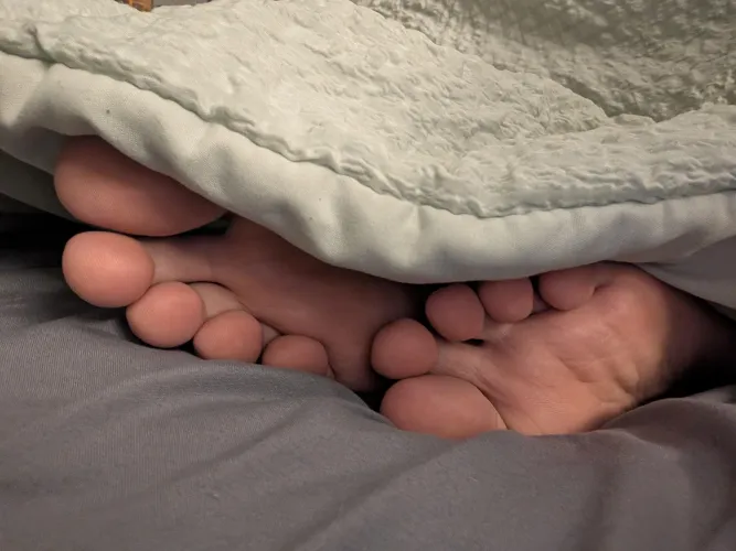 Would you glaze while I nap..?