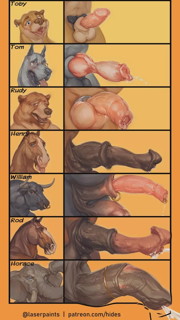 Would you like to choose?