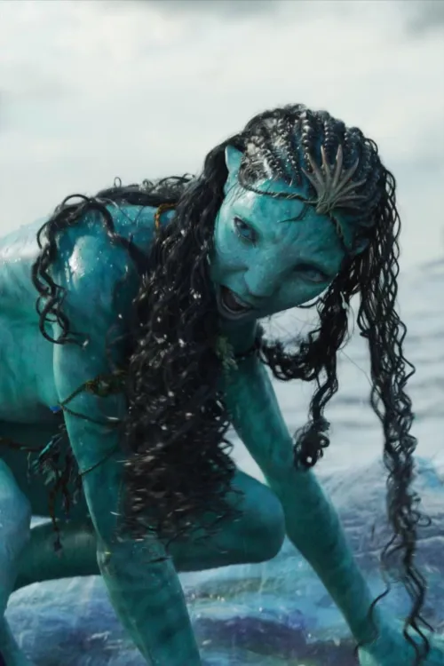 Would you put it in?