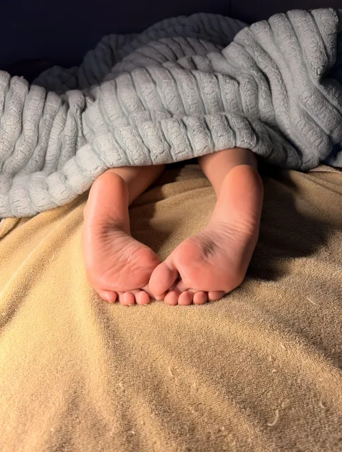 would you sneak a photo?