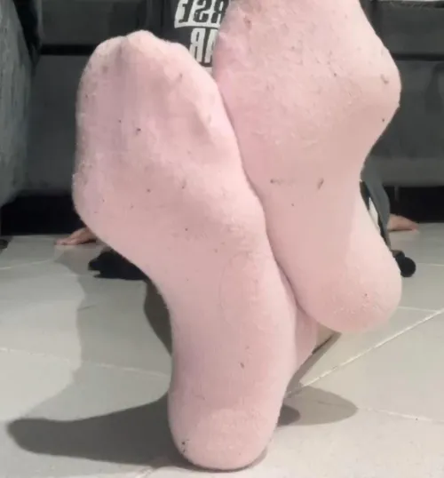 Would you sniff my socks?