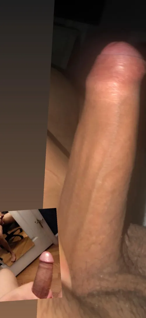 Would you suck my dick ?