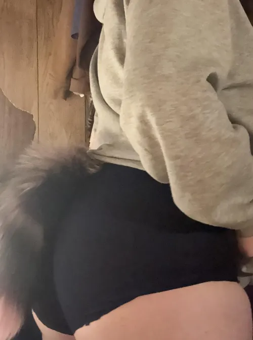 would you take me on a walk?