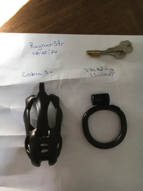 [WTS][US] Cobra S+ and base ring #2 curved