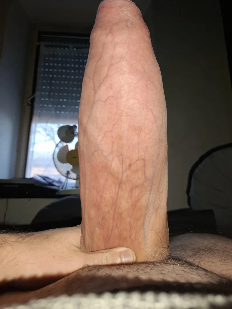 You think it's big enough?