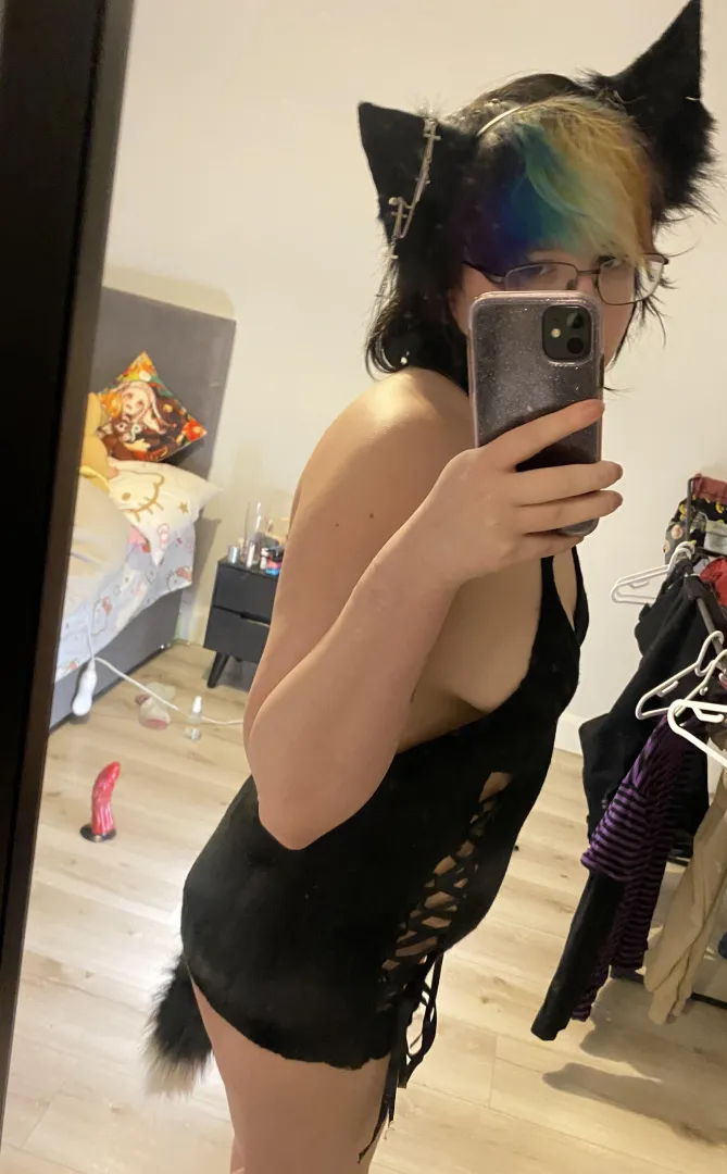 Your little rainbow haired kitty is waiting for you 