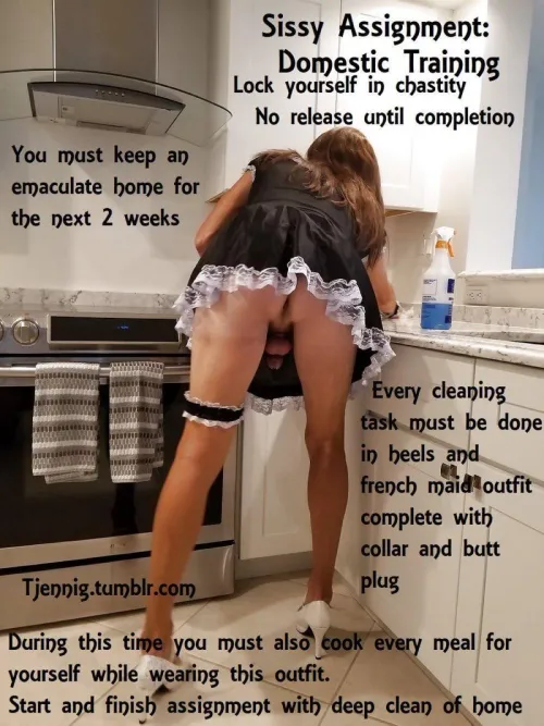 Your vacation is planned