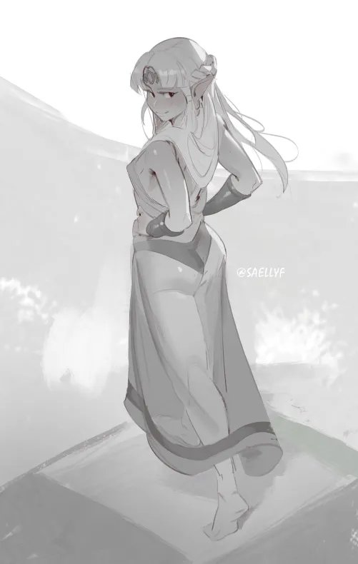 Zelda's See-Through Dress (by me @Saellyf)