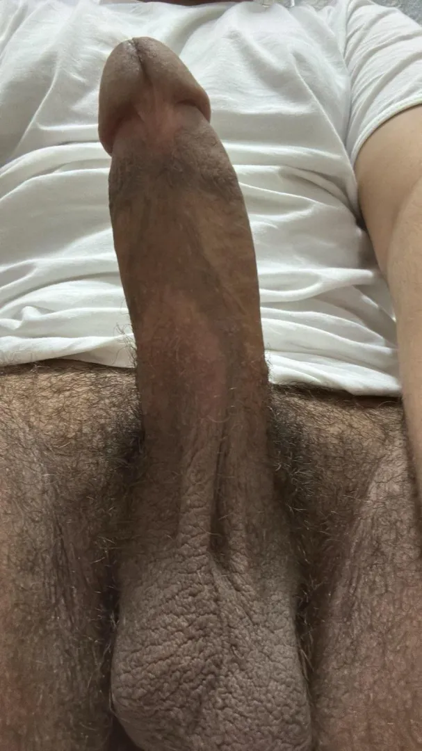 زبي زعلان يبي طيز تراضيه من الشطور يراضيه بطيزه 