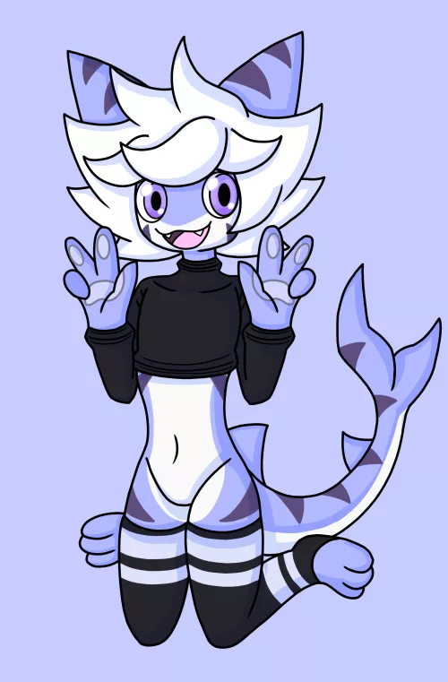 a cutie shark