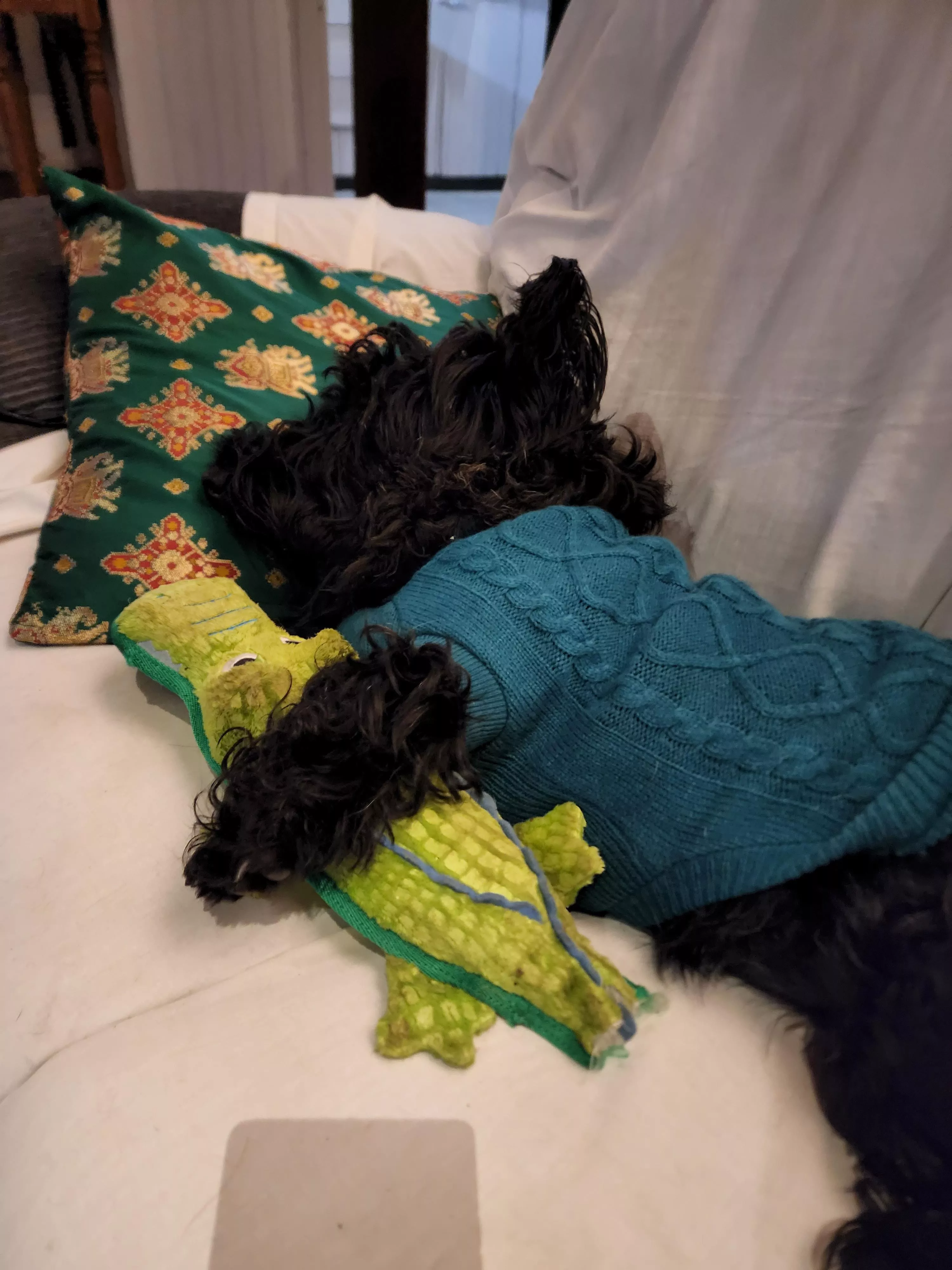 Frank with his toy crocodile