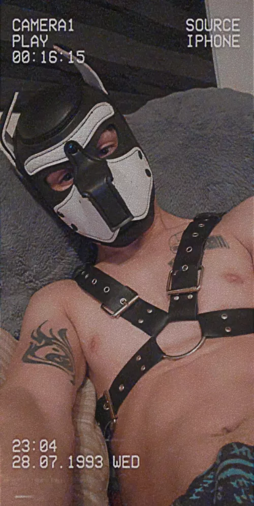 Hey pups i am on other forms of social media!!! Make sure to follow me on all of them!!!