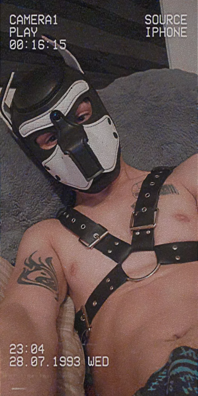 Hey pups i am on other forms of social media!!! Make sure to follow me on all of them!!!