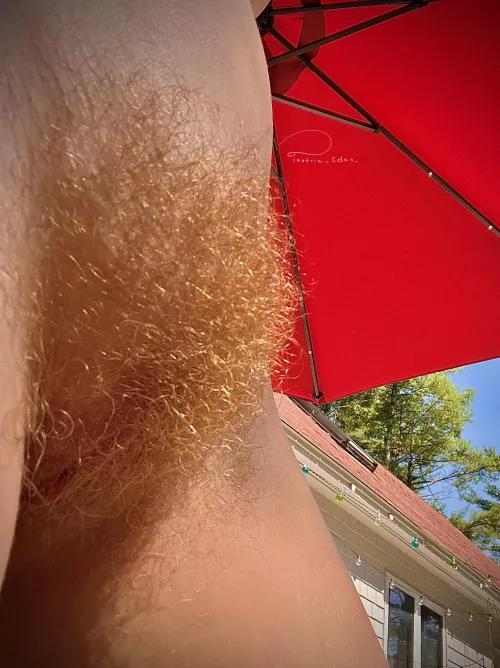 I can only think of one thing I’d rather have kissing my bush than sunshine ;)