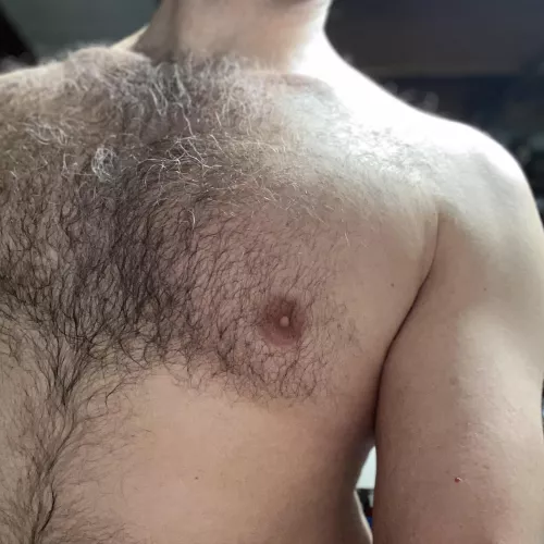 Little gray hairs everywhere 👀