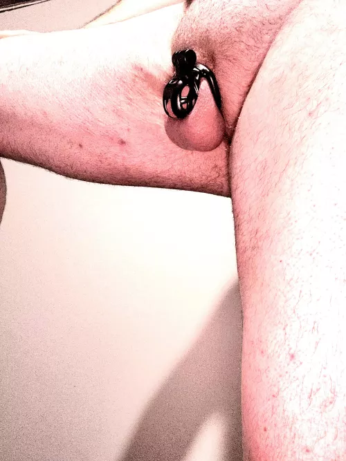 My pleasure no longer matters