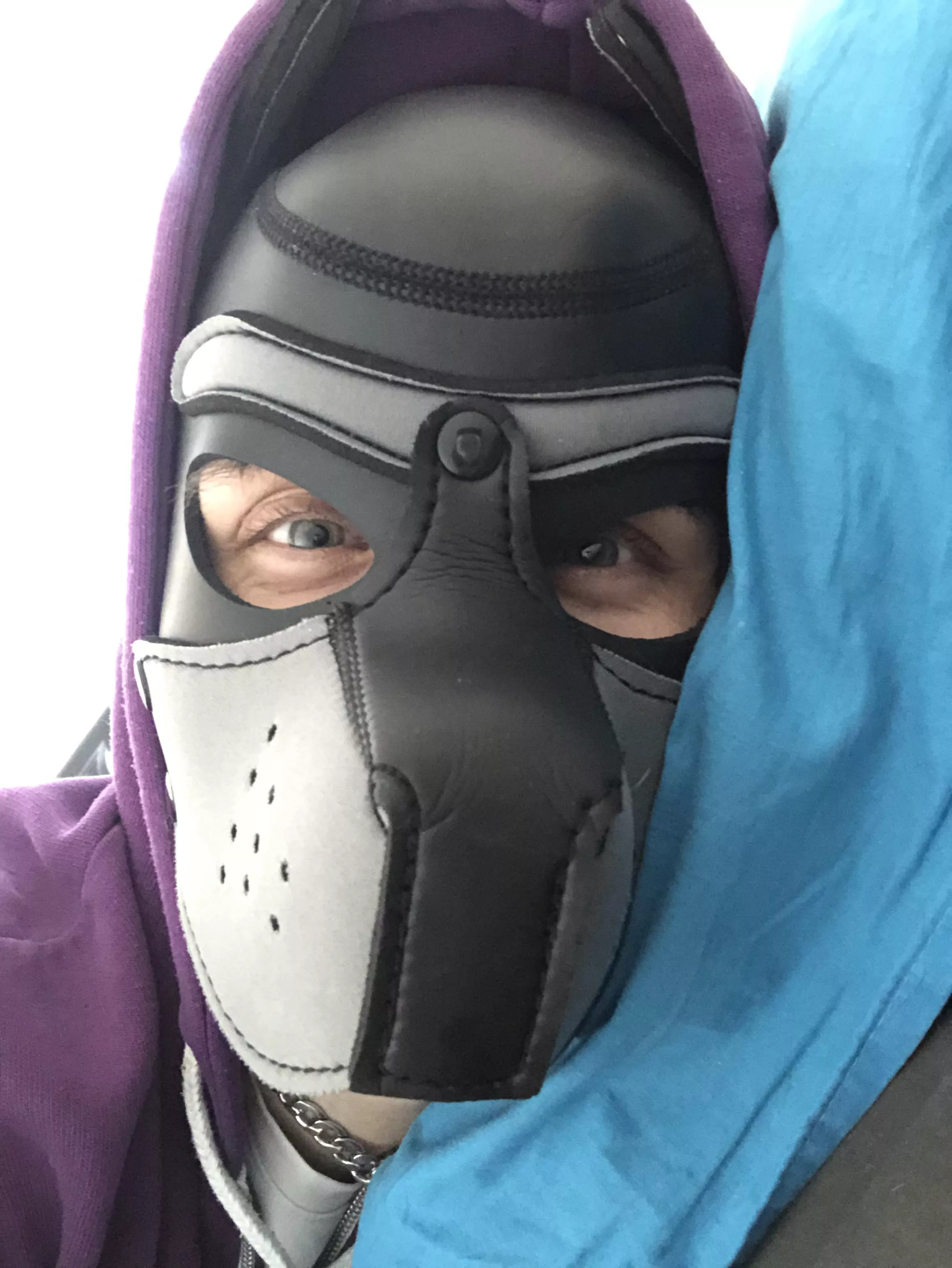 Nothing wrong with being a lazy pup and chilling on bed right? Awroo! 😋