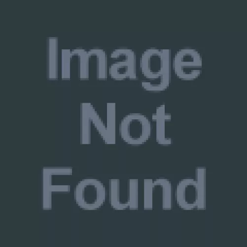 Open for Use [F] (Rainset)