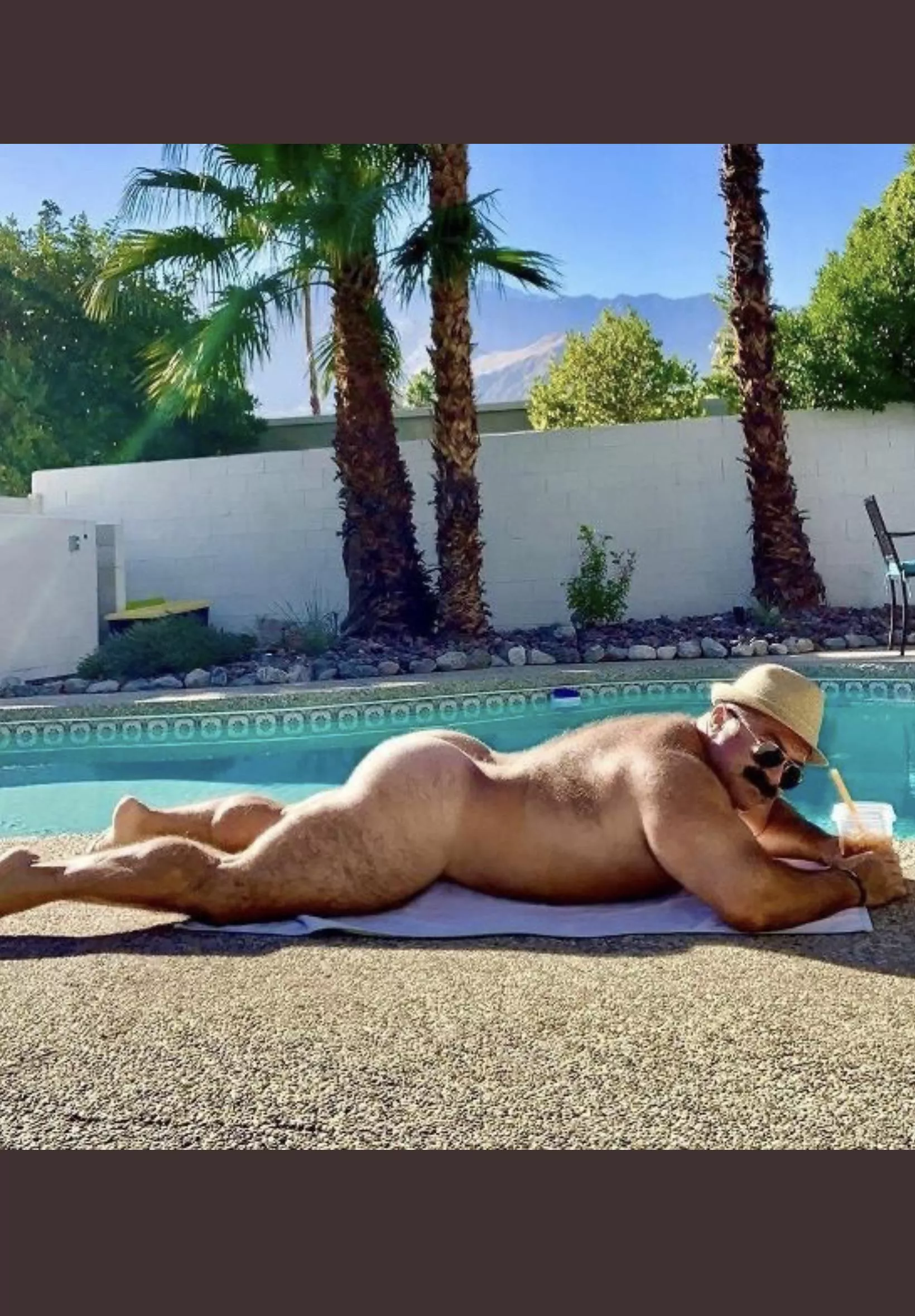 Palm Springs bear