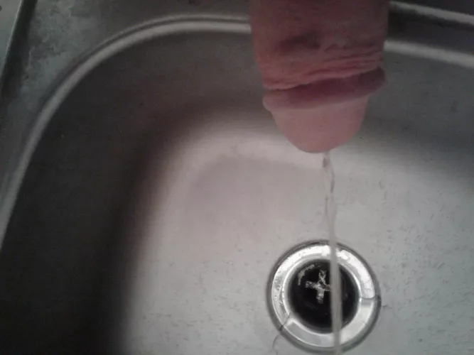 pissing in sink
