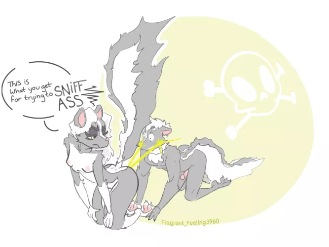 She doesn’t like to feel exposed… [skunk] [skunk spray] [OC] (Fragrant_Feeling3960)