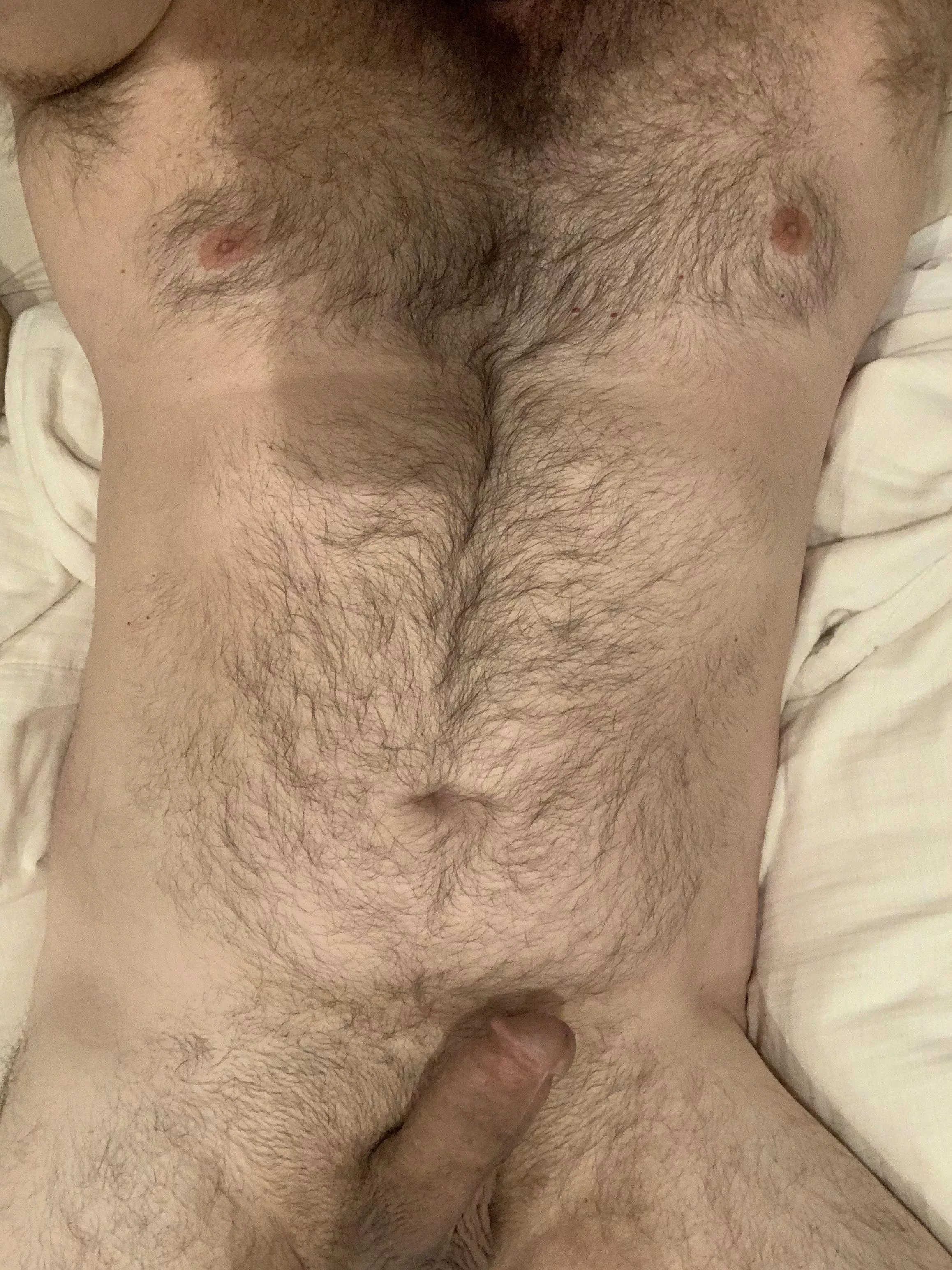 Tall guy (6’3”) with long furry torso [40]